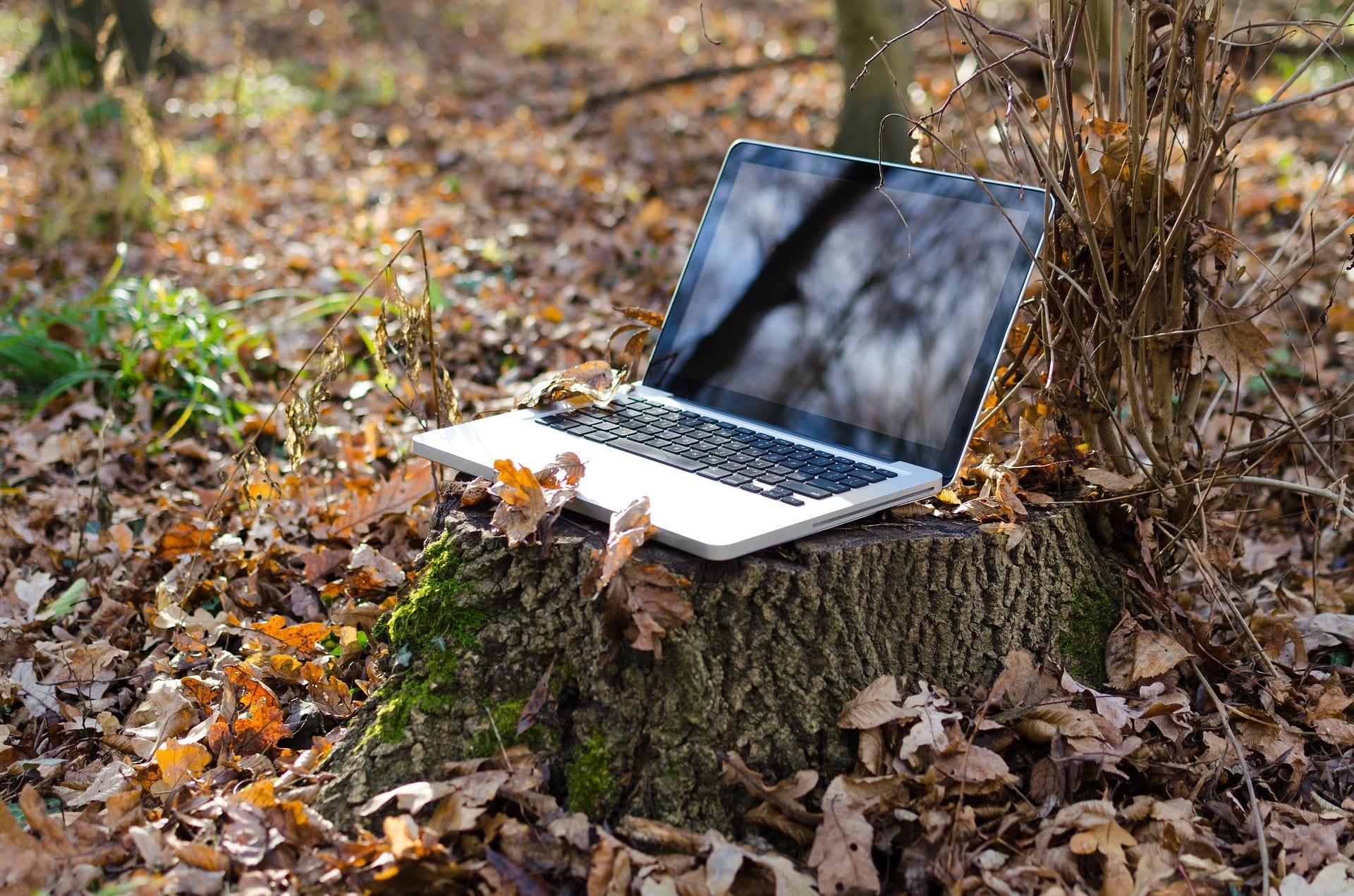 Read more about the article Advice on Remote Working.